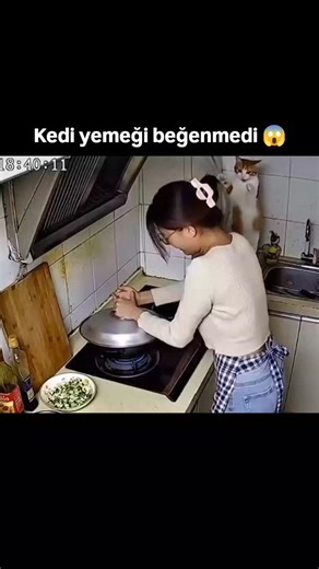 𝗕𝗲𝗹𝗸𝗶 𝗚𝗲𝗹𝗱𝘂𝗻 𝗕𝗶𝗯𝗮𝗸 | snake stew 🐍 | Instagram