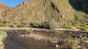 Happy Friday! Here is the latest information from Anza-Borrego. ☀️ The weather continues cool and sunny with cool nights. 🌺🌼🌸 Wildflowers continue to bloom within the park. The visitor center, Coyote Canyon and Palm Canyon have many different flowers blooming for the park visitors to enjoy. 🌼🌺🌸🐕🐩 If you bring your dog with you the area around the visitor center and Coyote Canyon both allow your dogs on the trail and road in those areas. 🚎🚌🏍🛻🚗 The park continues to be busy. For the m