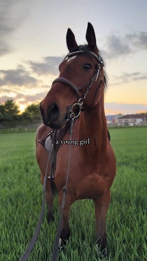 Making the Perfect Equestrian Team Work