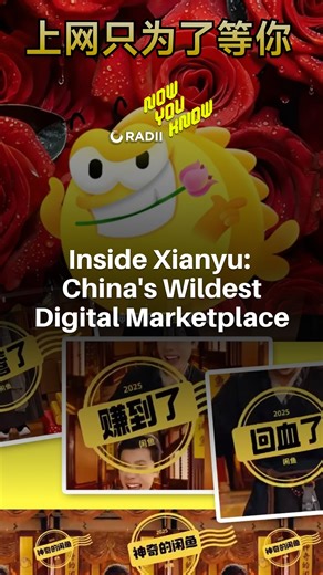 RADII on Instagram: "When an app becomes a lifestyle: Welcome to Xianyu, where China’s Gen Z shops, hustles, and builds communities… all in one app. If you didn’t know, now you know. Follow RADII for more content like this! #radiimedia #radii #Xianyu #SideHustle #internetculture"
