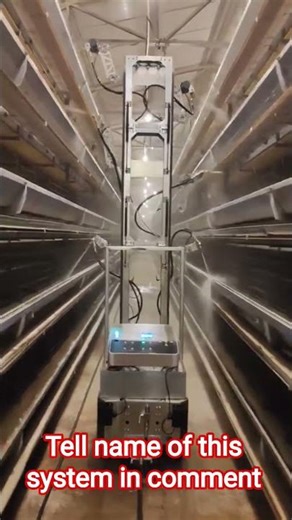 “Modern Disinfection in a Layer Farm“Clean Farm, Healthy Birds | Layer Farm Disinfection Process”