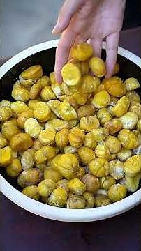 Transforming Freshly Harvested Chestnuts Into Sweet And Flaky Traditional Chestnut Pastries!