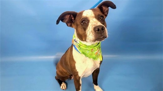 Home sweet home: Meet Thumbalina