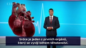 75K views · 1K reactions | Lidské srdce váží zhruba 300 gramů. To mužské je asi o 50 gramů těžší než ženské. Jak vlastně pracuje? To popíše Daniel Stach. | ČT24 | Facebook