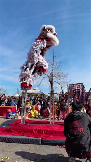 OMG. Ascent Lion Dance brought out a CRAZY show. Amazing performance, the athleticism, the timing, the endurance. Seriously, I’m always so impressed and thankful to have this group perform. We have another lion dance at 2:00pm if you can make it. #denver #lunarnewyear #newyear #liondance #fypシ @Ascent Lion Dance Association