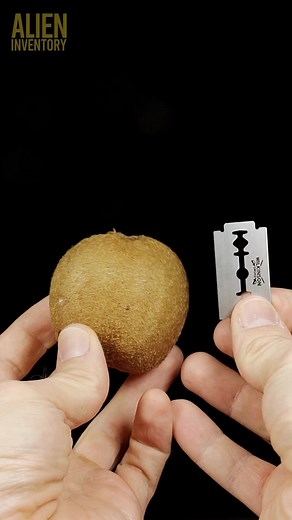 10M views · 83K reactions | fruits closeup compilation #asmr #asmrsounds #macroart #macro #macrophotography #makrofotografia #closeup #closeupphotògraphy #raw_macro #kings_macro #macro_highlight #macro_royals #macroworld_tr #macro_vision #macro_captures #macro_holic #microworld | Alien Inventory | Facebook