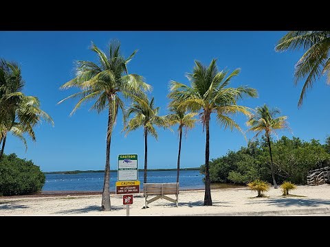 Dive into Adventure at John Pennekamp Coral Reef State Park located in Key Largo, Florida