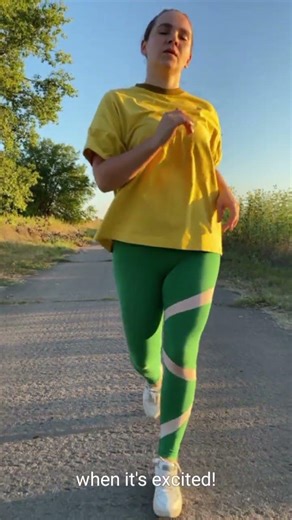 Diesel cycle #engineeringbasics #mechanicalanimation