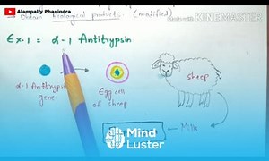 Mind Luster - Learn Animal Transgenesis Transgenic animals Process Examples Bio science