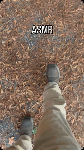 ASMR: Fall in Georgia #asmr #fall #vibes | Sam Smith