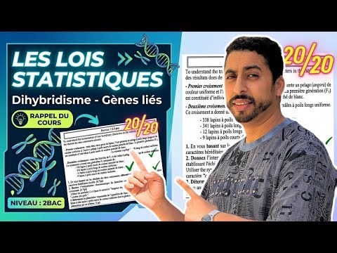 2BAC : Dihybridisme | Les lois statistiques - Gènes liés / Rappel cours & Exercices