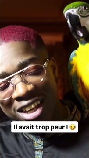 MHD sur un tournage avec Ninho 🤣#mhd #mhdofficiel #rapfrançais