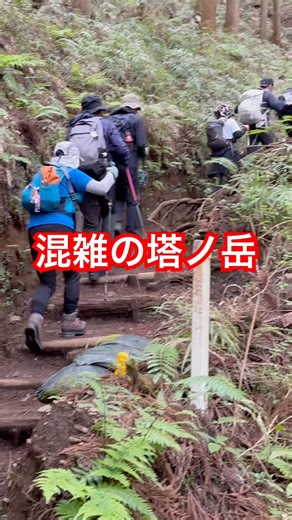 アクセスが良いから人も集まる。詳細は、後ほど。#short #塔ノ岳 #登山 #丹沢 #ハイキング