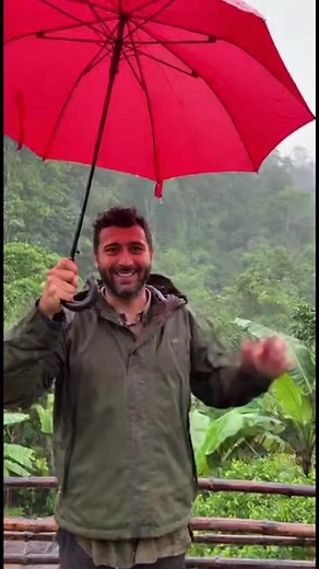 29K views · 64 reactions | Monkey Takes Flight! Who knew monkeys could fly with umbrellas? Generated using Kling AI . . . (For entertainment purposes only. Consult professionals if guidance on activities is presented. No brand affiliation is implied if any are shown. If inspired by true events, creative adaptations may be included. Content may include public footage.) | Tips & Tricks | Facebook