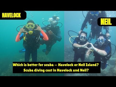 Havelock vs Neil island scuba diving | Which is better for scuba ?