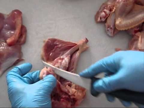 Dezosarea pulpei de pui pas cu pas