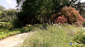 33 reactions | The Hintz Family Alumni Center is “home away from home” for all Penn State alumni. The center includes meeting and reception rooms where alumni can relax among our collection of La Vie yearbooks and Penn State photos and memorabilia. Outdoors, the Alumni Gardens is an on-campus oasis to not be missed. We're looking forward to welcoming alumni back this semester, and please stop by to say hi and visit if you're on campus. #WeAre | Penn State Alumni Association | Facebook