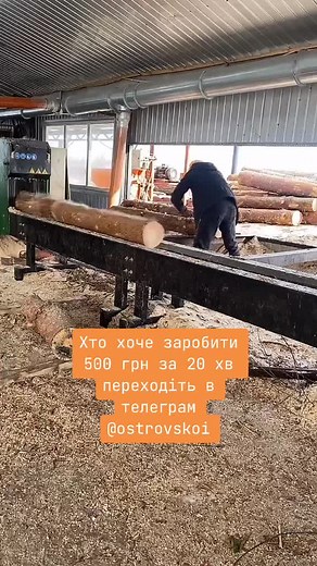 Відео користувача Голова (@uaserials) з композицією «MONEY MONEY GREEN GREEN - 𝖆𝖑𝖊𝖝𝖎𝖘»
