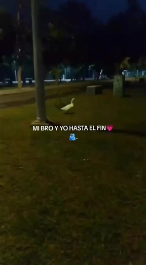 Videos de María CT 🥷 (@mariajosect8) con “sonido original - María CT 🥷”