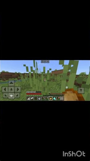 pig kidnapping #minecraft #minecraftshorts #shorts