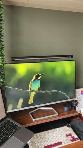 Best for Bright Workspaces: Matte Explained