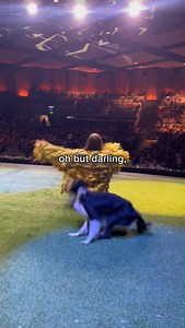 Our dancing days are far from over! #bordercollie #dogdance #dogtricks #dogdancing #ilovemydog #dogsofinstagram #crufts | HighflyingCollies