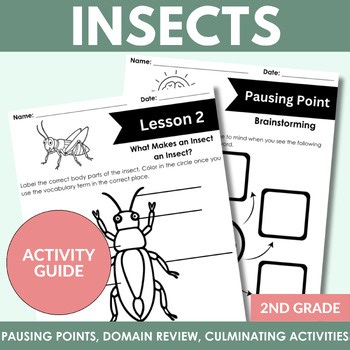 CKLA 2nd Edition | Knowledge | Insects | Lesson Activities and Domain Review