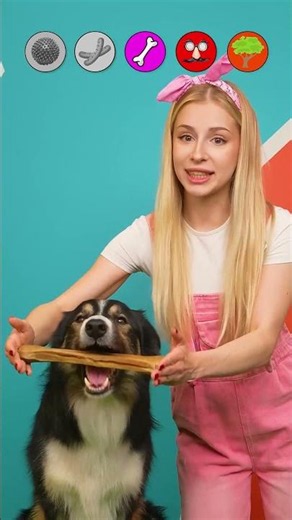 Wie bringt man den liebsten Hund der Welt dazu, wütend zu werden? 😡🐶