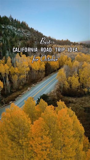 October road trip 🍁 Different areas of California have fall foliage peaks at different times, and it slightly varies every year. My best bet is usually the Eastern Sierra in mid-October since some of its areas are always colorful at this time! 🚗 To enjoy all the mentioned places you would need 7–10 days. If you only have a couple of days, focus on one of these areas: * Bishop Creek and all the spots around during the second week of October or * June Lake Loop with all the spots around during t