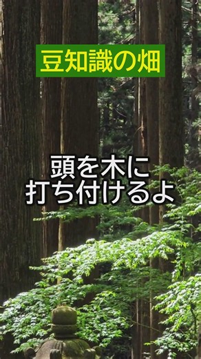 キツツキは1日に何回木を叩く？衝撃を吸収する体の秘密がスゴい【豆知識】 #Shorts