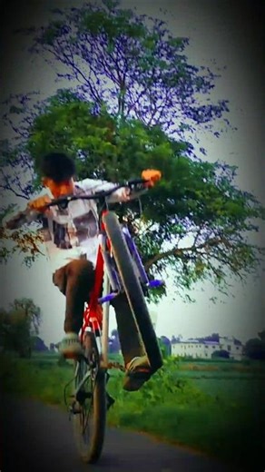 "Next-Level Cycle Stunts with Crazy Cinematics🎥🔥 " Hashtag: #CycleStunts