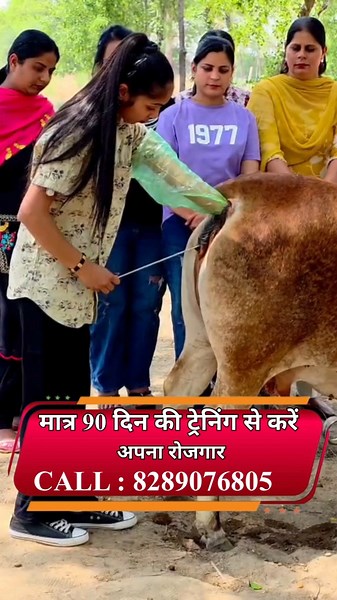AI Maitri Training | Complete Practical Course for Beginners | पशु कृत्रिम गर्भाधान ट्रेनिंग |