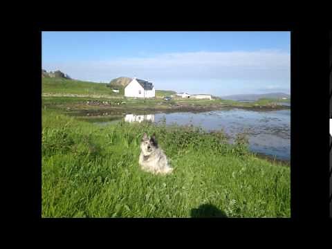 Ò Fhluir na h-Albann O Flower of Scotland sung by Fiona J Mackenzie