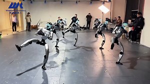 西湖机器人GAE模型，一人控制一个集群