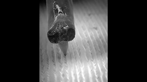 3.2K views · 42 reactions | Drop The Needle !! Vinyl Record And Needle Magnified X1000 #Vinyl #VinylRecord #Vinyle #Turntable #TableTourntante #NowSpinning | Vintage Audio Love | Facebook