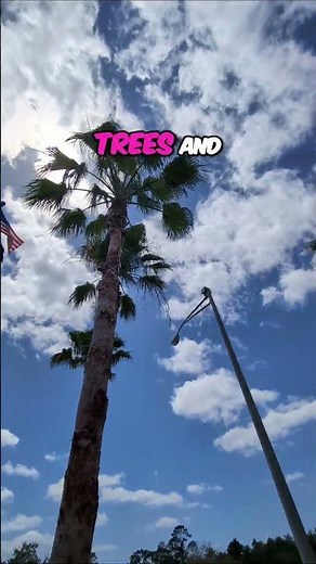 Florida Rest Areas: A North Carolina Native's Honest Review