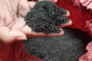 Biochar : la transformation de l'écorce de riz en charbon végétal, un engrais qui retient l’eau comme une éponge