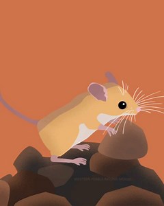 24K views · 168 reactions | Did you know there are over 2500 species...