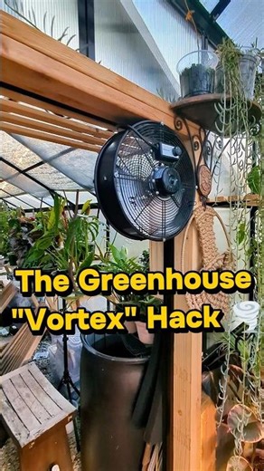 The DIY Greenhouse Vortex Hack for Perfect Airflow 🌪️💨