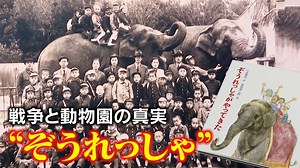 戦時中の動物園に殺処分命令…生き残った“奇跡のゾウ”の物語　絵本「ぞうれっしゃ」が伝える史実 | TBS NEWS DIG