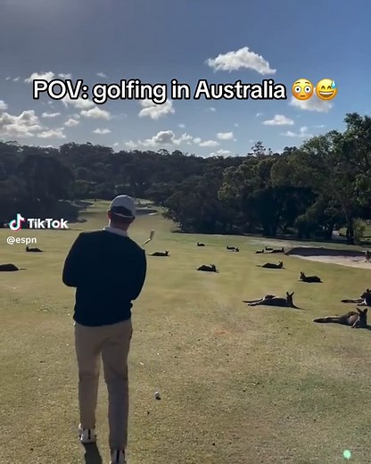 Golfing with Kangaroos in Australia
