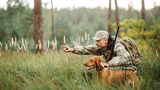 13 Best Hunting Dogs You Should Know About
