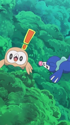 Rowlet Core #pokemon #rowlet