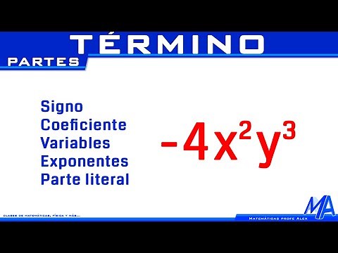 Qué es un término y sus partes