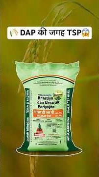 🌾DAP भूल जाओगे 🤯 TSP (Triple Super Phosphate) 💯 #shorts