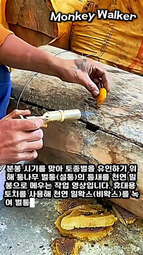 토치로 밀왁스를 녹여 벌통 틈새를 메우는 전통 양봉 기술 #worker #process #skills #craftsman #traditional