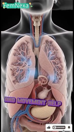 “Why You Feel Breathless After Surgery”