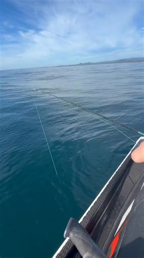 On666’s is learning to fish on his donated JetSki for the time when Digital ID won’t let him go shopping. Unfortunately the ChEmTrAiLZ pilots have found him & will probably target his fish too. From On666’s ⬇️ Learning to fish 🐟 for when we refuse digital ID With @Dane ☺️💯 Mental chemtrails to ruin what should be a spectacular day. #arrestthechempilots | Batshit Crazy Cookers