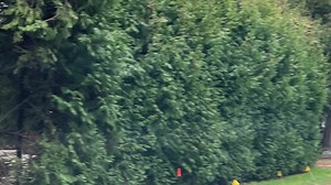 36K views · 419 reactions | Todays 10 minute tour. Every Fall we get a few new builds and this year is no exception :) | Out and about in Southampton, Ontario | Facebook