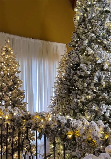 204 Days Until Christmas 2026 — Festive Countdown Begins